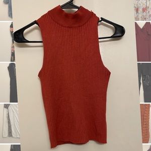Sleeveless crop turtle neck